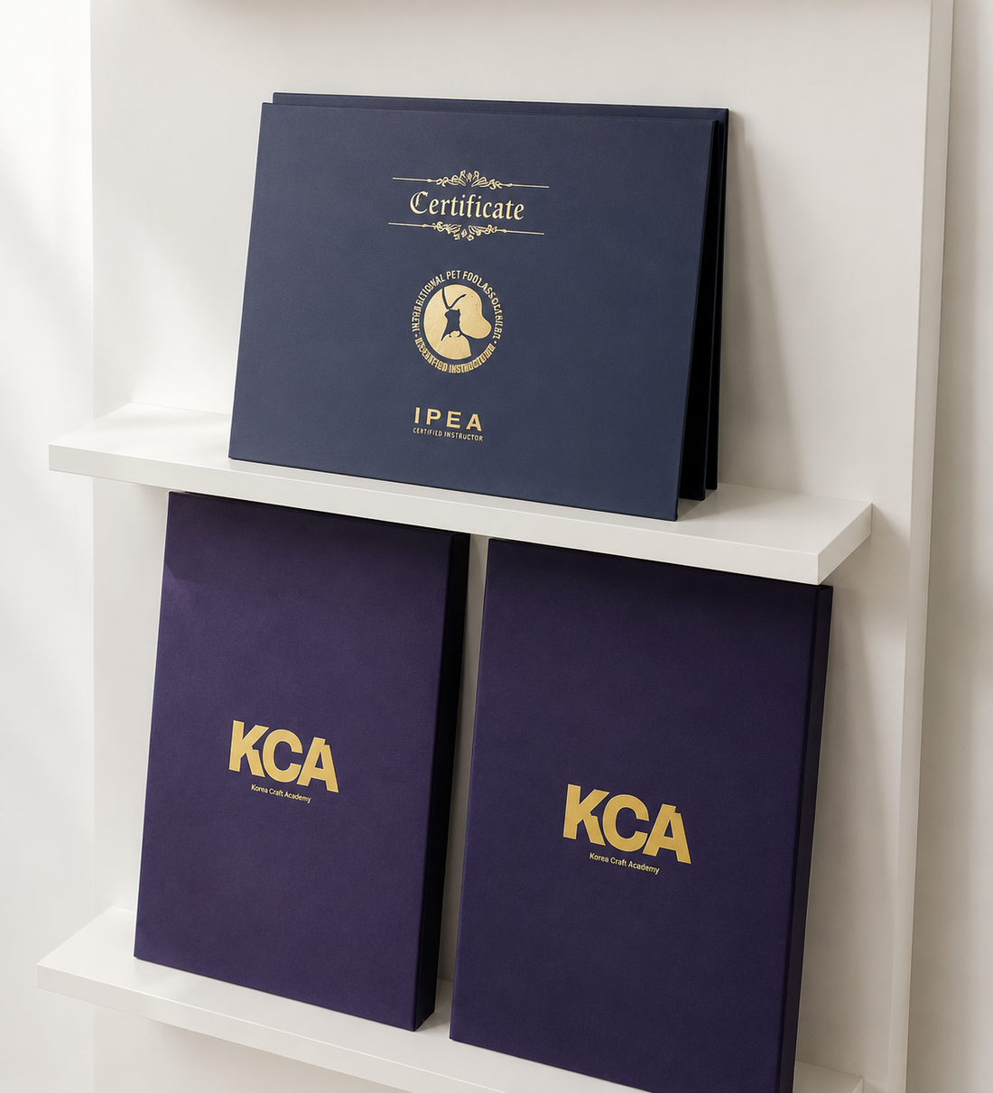 關於🇰🇷KCA及IPEA寵物協會